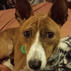 Meet your Posher, Lori